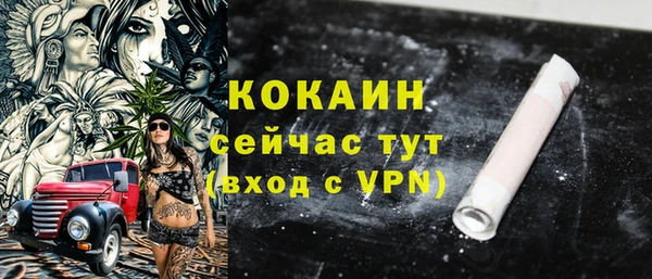 МДПВ Абаза