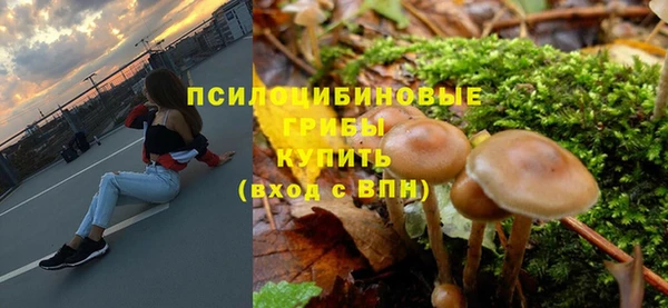 дживик Алзамай